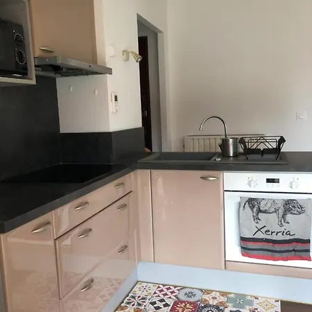 Appartement Cosy, En Rez De Chaussee, En Plein Centre De Cambo Les Bains Buitenkant foto