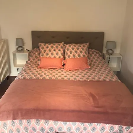 Appartement Cosy, En Rez De Chaussee, En Plein Centre De Cambo Les Bains Buitenkant foto