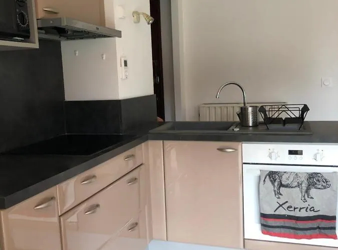 Appartement Cosy, En Rez De Chaussee, En Plein Centre De Cambo Les Bains