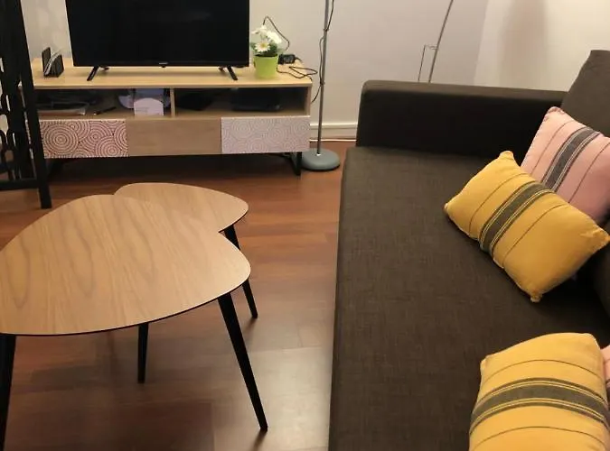 Appartement Cosy, En Rez De Chaussee, En Plein Centre De Cambo Les Bains