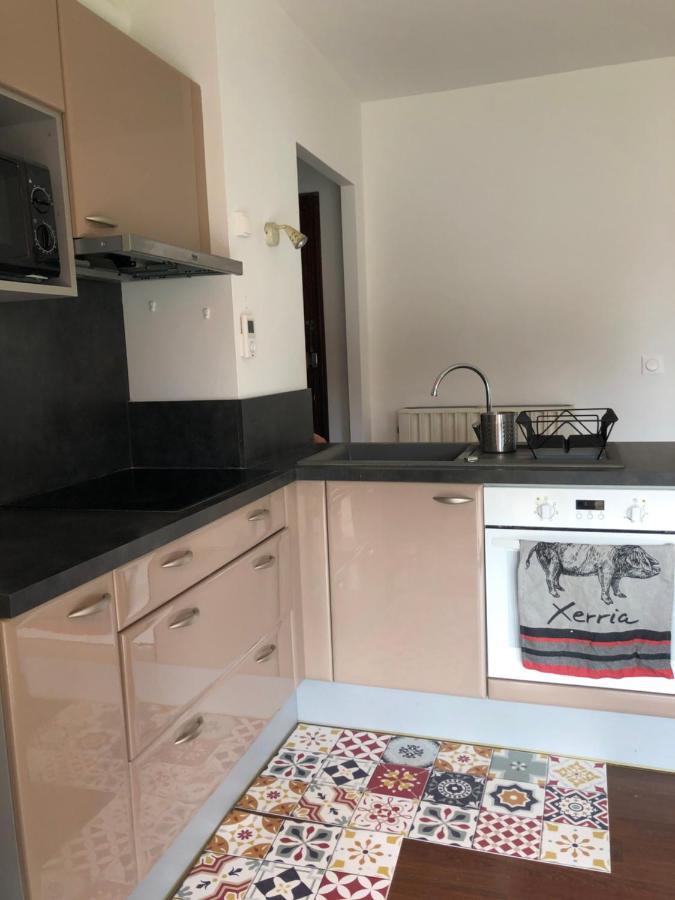 Cosy, En Rez De Chaussee, En Plein Centre De Les Bains Apartment Cambo-les-Bains