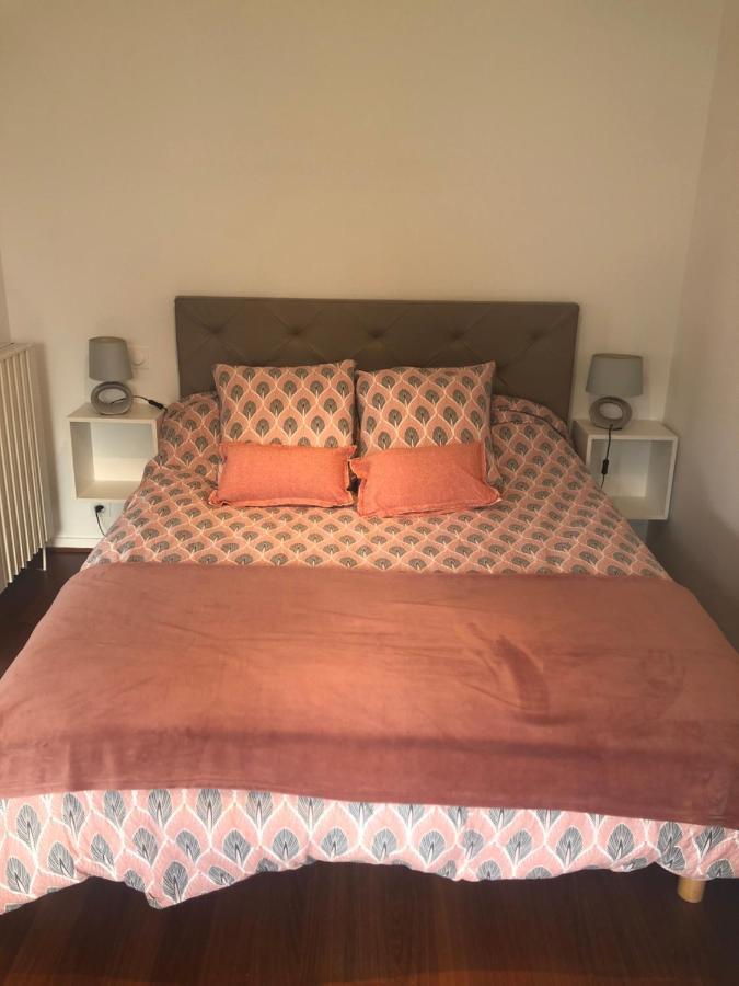 Apartment Cosy, En Rez De Chaussee, En Plein Centre De Les Bains Cambo-les-Bains
